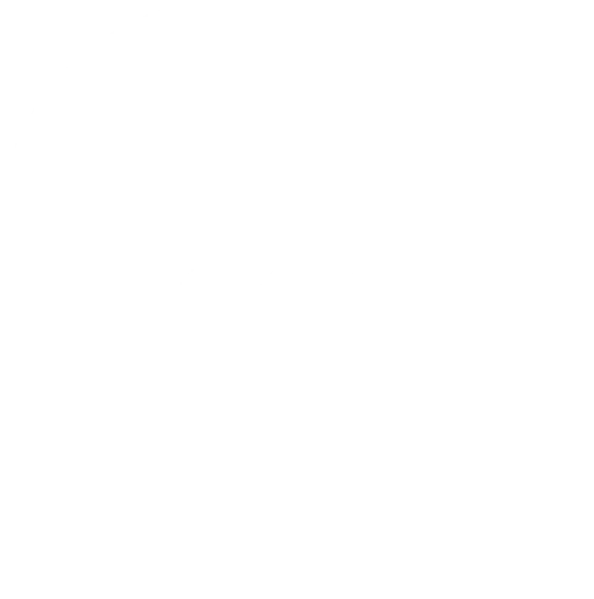 ExpertSlides